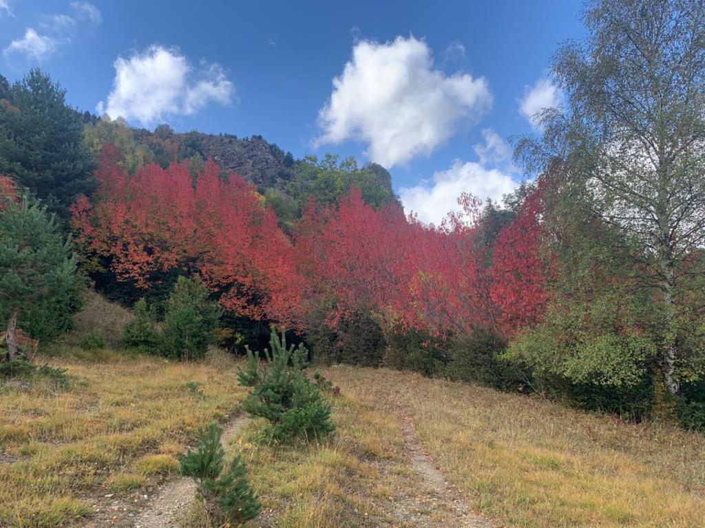 El Estacho De Panticosa 아파트 외부 사진