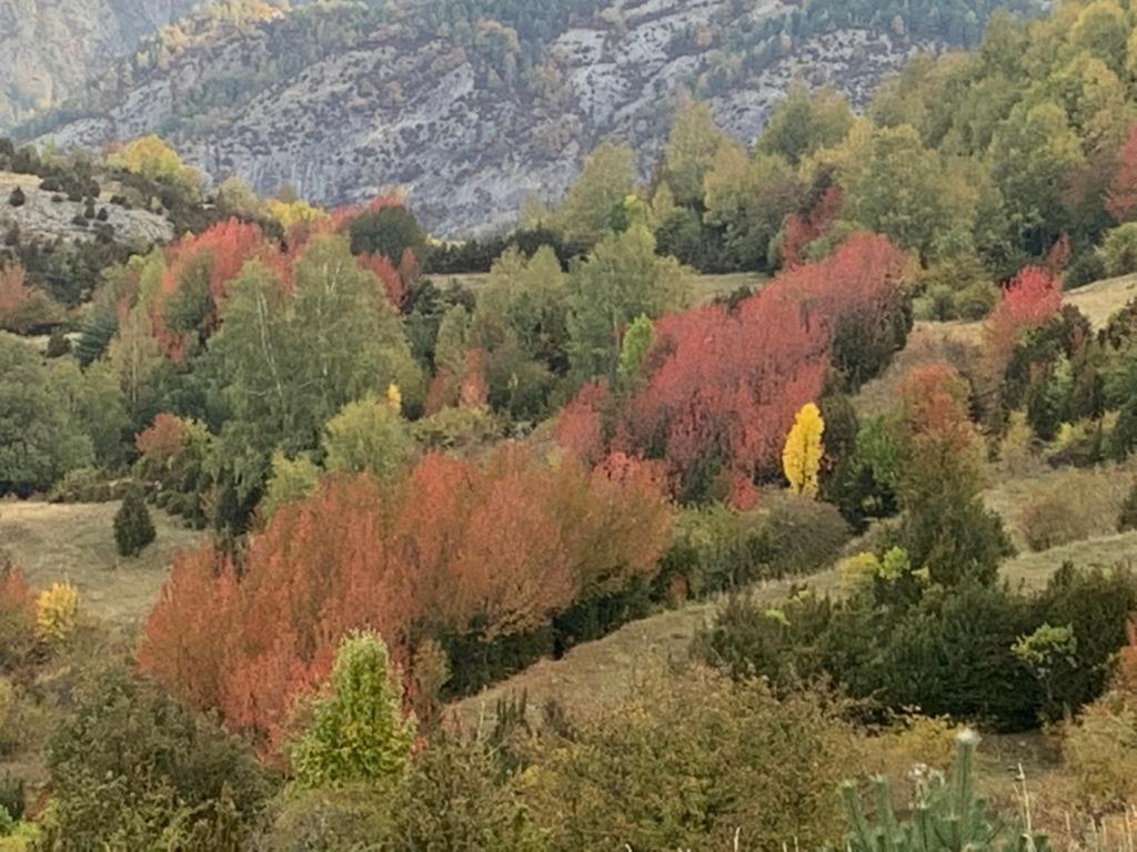 El Estacho De Panticosa 아파트 외부 사진